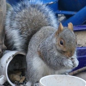 Meet your Posher, Robert